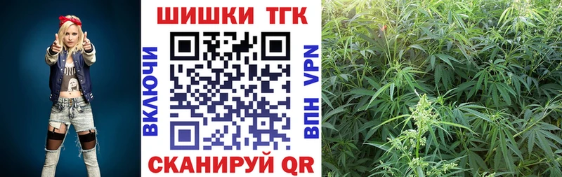 Канабис SATIVA & INDICA  магазин продажи наркотиков  Темников 